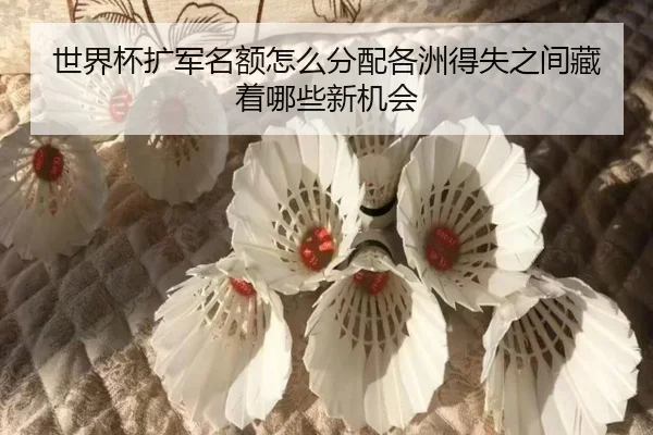 世界杯扩军名额怎么分配各洲得失之间藏着哪些新机会（jiuyou）